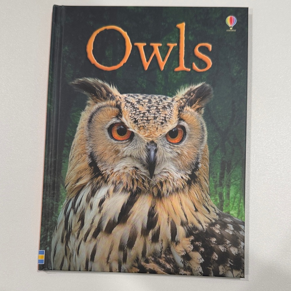 Usborne Owls Book - Orange and Brown